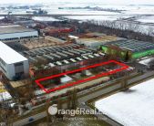 DJI_0573.00_00_53_23.Still013